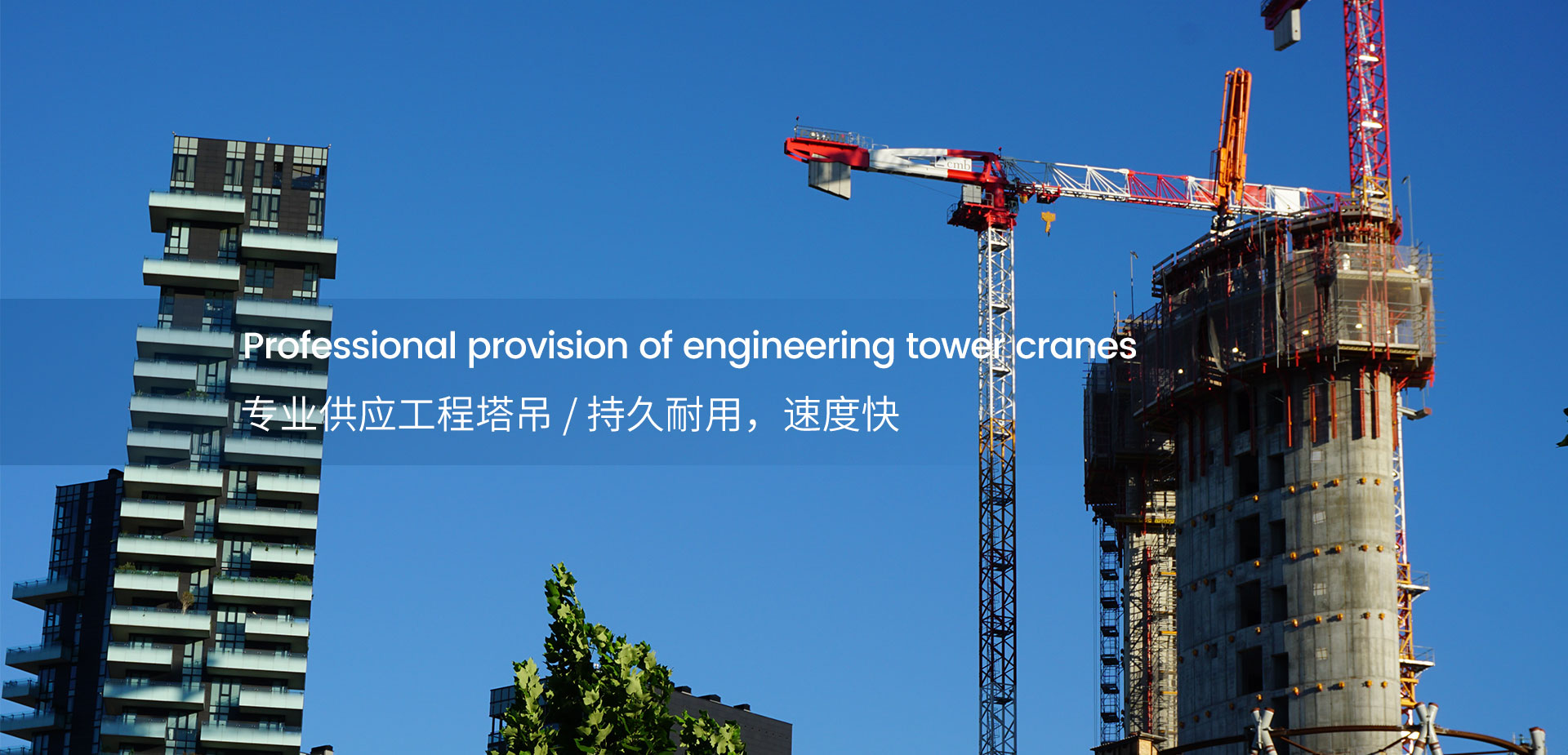 Professional supply of engineering cranes